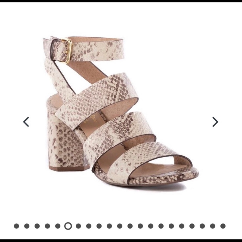 Sold ❌ Seychelles Snakeskin Print Sandal